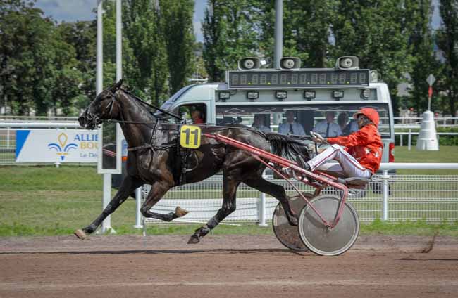 Photo d'arrivée de la course pmu PRIX DE L'ILE-DE-FRANCE à VICHY le Mardi 4 juillet 2023