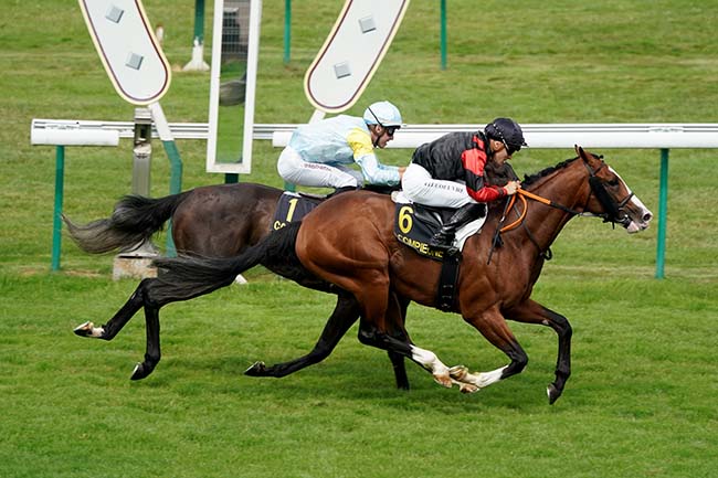 Photo d'arrivée de la course pmu PRIX DE HAUTEFONTAINE à COMPIEGNE le Mardi 4 juillet 2023
