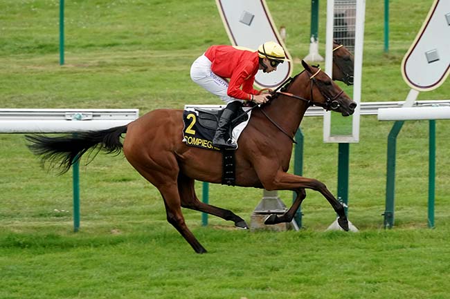 Photo d'arrivée de la course pmu PRIX DE RESSONS-SUR-MATZ à COMPIEGNE le Mardi 4 juillet 2023