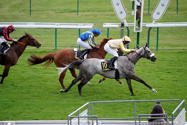 Photo d'arrivée de la course pmu PRIX DE MERCIERES à COMPIEGNE le Mardi 4 juillet 2023