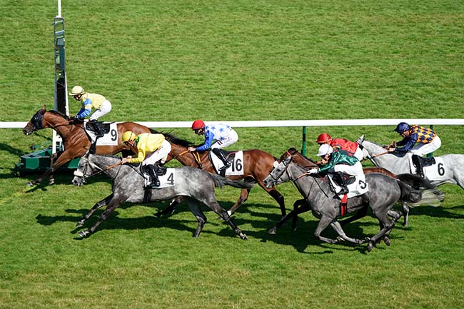 Photo d'arrivée de la course pmu PRIX DE LA SALPETRIERE à LONGCHAMP le Jeudi 6 juillet 2023