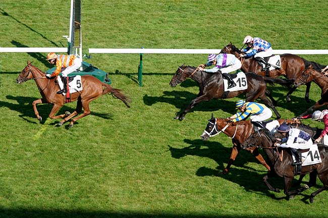 Photo d'arrivée de la course pmu PRIX DU PETIT PRE à LONGCHAMP le Jeudi 6 juillet 2023