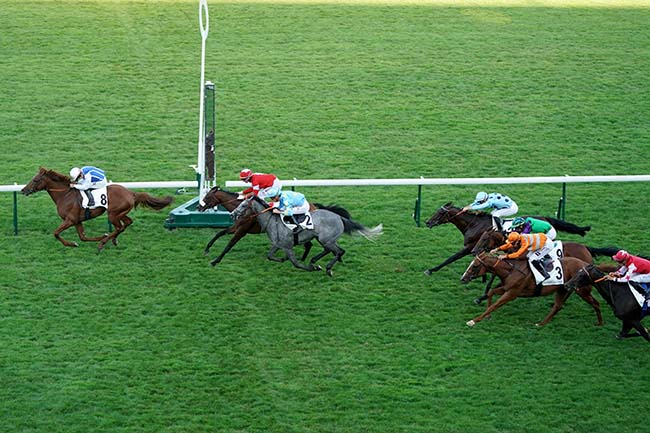 Photo d'arrivée de la course pmu PRIX DU PONT MIRABEAU à LONGCHAMP le Jeudi 6 juillet 2023
