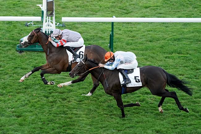 Photo d'arrivée de la course pmu PRIX MERCEDES-BENZ PARIS (PRIX D'ARGENCES) à LONGCHAMP le Jeudi 6 juillet 2023