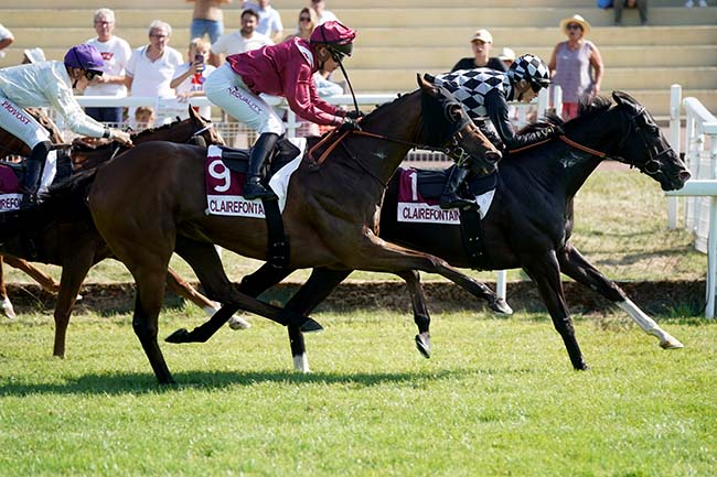 Photo d'arrivée de la course pmu PRIX LA VOIX DU BOCAGE - ACTU.FR (PRIX DES ŒILLETS) à CLAIREFONTAINE le Vendredi 7 juillet 2023