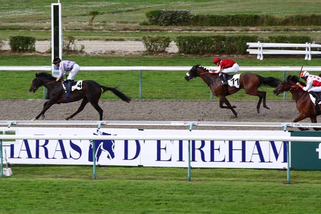 Photo d'arrivée de la course pmu PRIX DE PORT-DEAUVILLE à DEAUVILLE le Dimanche 9 juillet 2023