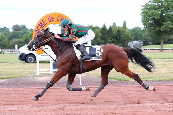 Photo d'arrivée de la course pmu PRIX DE L'ECLAIREUR à CHATEAUBRIANT le Mardi 11 juillet 2023