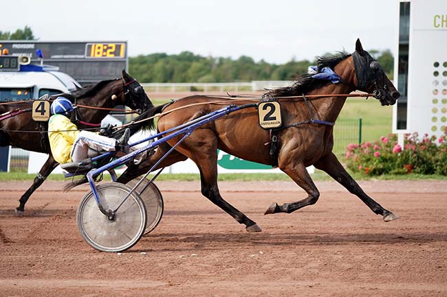 Photo d'arrivée de la course pmu PRIX V AND B à LA ROCHELLE-CHATELA. le Jeudi 13 juillet 2023