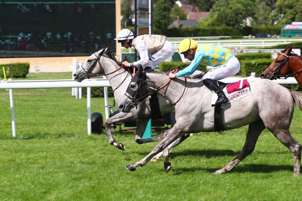 Photo d'arrivée de la course pmu PRIX FESTIVAL MANGA DEAUVILLE (PRIX DES BOUTONS D'OR) à CLAIREFONTAINE le Samedi 15 juillet 2023