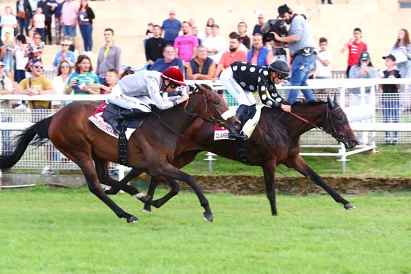 Photo d'arrivée de la course pmu PRIX FESTIVAL MANGA - CULTURA (PRIX DE BIENVILLE) à CLAIREFONTAINE le Samedi 15 juillet 2023