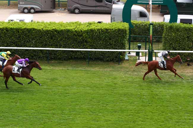 Photo d'arrivée de la course pmu PRIX ROBERT PAPIN à CHANTILLY le Dimanche 16 juillet 2023