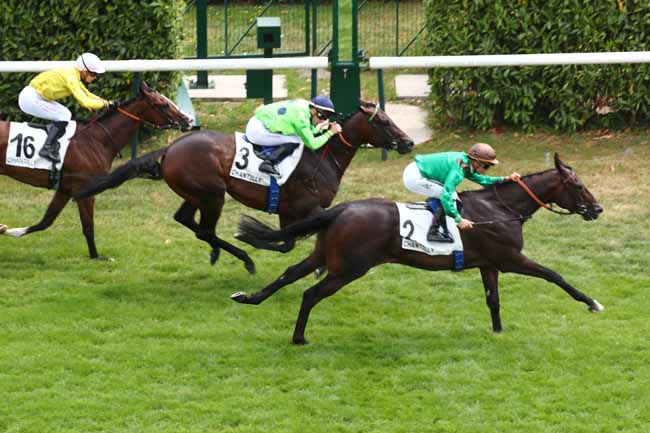 Photo d'arrivée de la course pmu PRIX LE ROI SOLEIL à CHANTILLY le Dimanche 16 juillet 2023