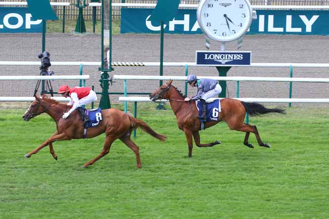 Photo d'arrivée de la course pmu DARLEY PRIX CHLOE à CHANTILLY le Dimanche 16 juillet 2023