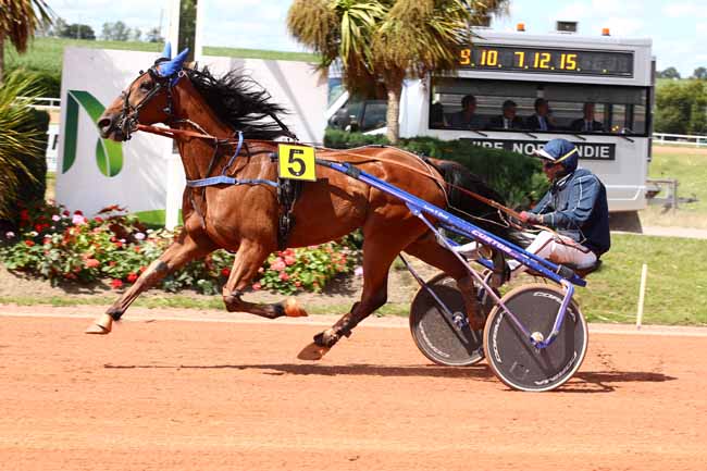 Photo d'arrivée de la course pmu PRIX DU CONSEIL DEPARTEMENTAL CALVADOS à VIRE le Lundi 17 juillet 2023