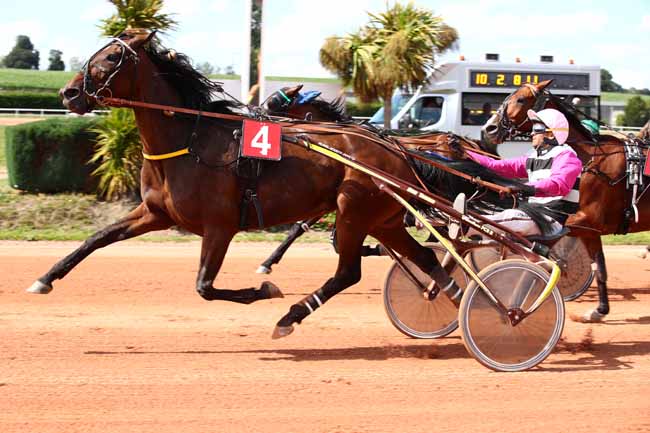Photo d'arrivée de la course pmu PRIX COMMUNAUTE DE COMMUNES VIRE AU NOIR à VIRE le Lundi 17 juillet 2023