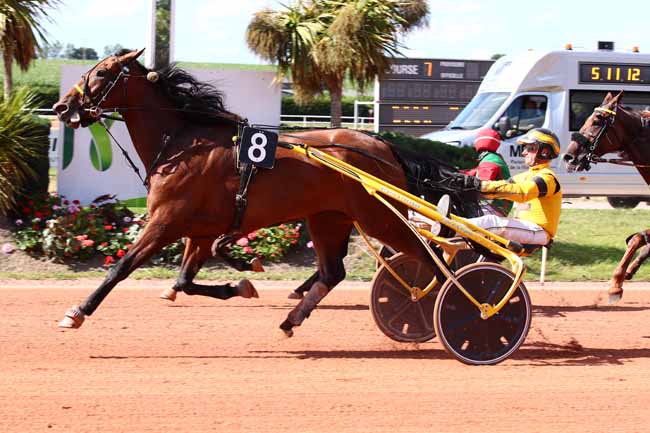 Photo d'arrivée de la course pmu PRIX DU CONSEIL REGIONAL DE NORMANDIE à VIRE le Lundi 17 juillet 2023