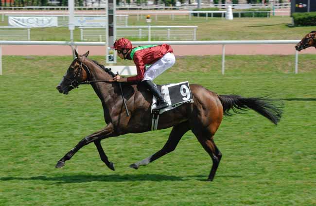 Photo d'arrivée de la course pmu PRIX GERARD SAMOUN à VICHY le Jeudi 20 juillet 2023