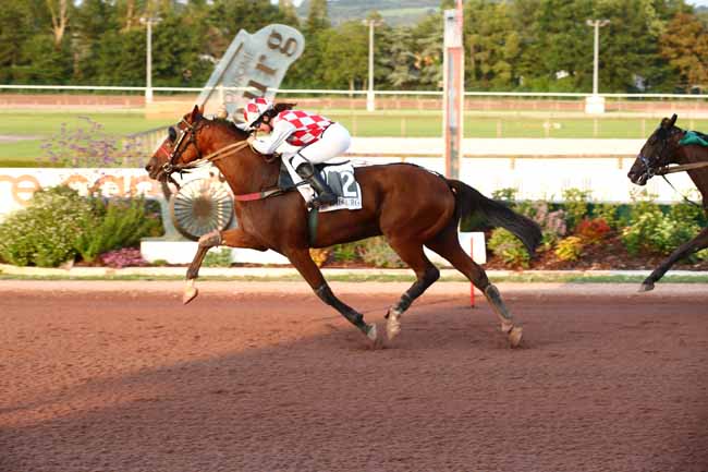 Photo d'arrivée de la course pmu PRIX SYMPHONIE (PRIX FANDANGO) à CABOURG le Vendredi 21 juillet 2023