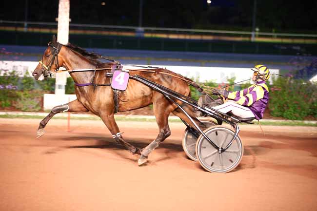 Photo d'arrivée de la course pmu PRIX DU CONSEIL DEPARTEMENTAL DU CALVADOS à CABOURG le Vendredi 21 juillet 2023
