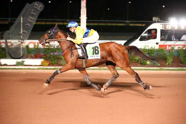 Photo d'arrivée de la course pmu PRIX NORMANDY HORSE MEET'UP (PRIX DU CONSEIL DES CHEVAUX DE NORMANDIE) à CABOURG le Vendredi 21 juillet 2023