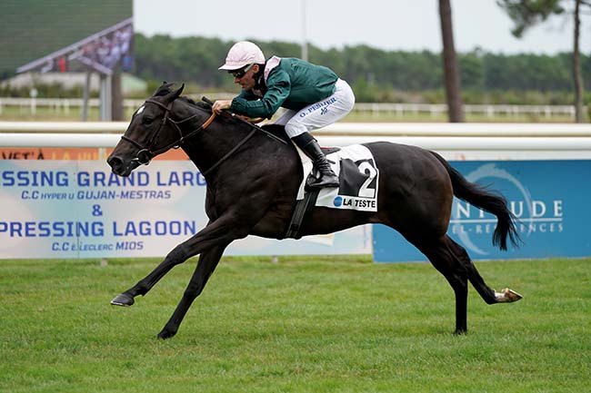 Photo d'arrivée de la course pmu CRITERIUM DU BEQUET - VENTES OSARUS à LA TESTE DE BUCH le Dimanche 23 juillet 2023
