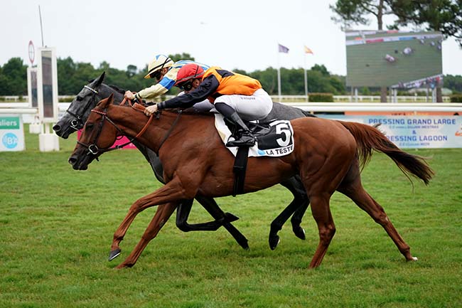 Photo d'arrivée de la course pmu PRIX LA SORELLINA - HYPER U GUJAN-MESTRAS à LA TESTE DE BUCH le Dimanche 23 juillet 2023