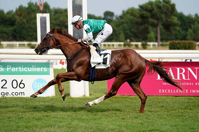 Photo d'arrivée de la course pmu PRIX BARNES BASSIN D'ARCACHON à LA TESTE DE BUCH le Dimanche 23 juillet 2023