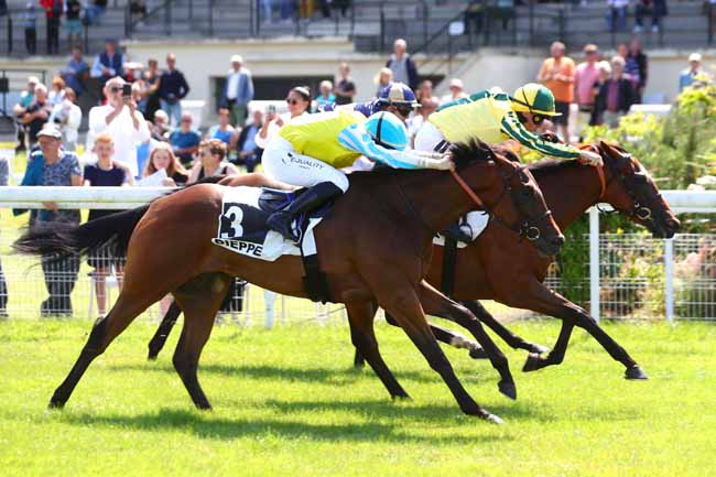 Photo d'arrivée de la course pmu PRIX DES ARCADES à DIEPPE le Mardi 25 juillet 2023