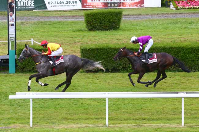 Photo d'arrivée de la course pmu PRIX PMU 