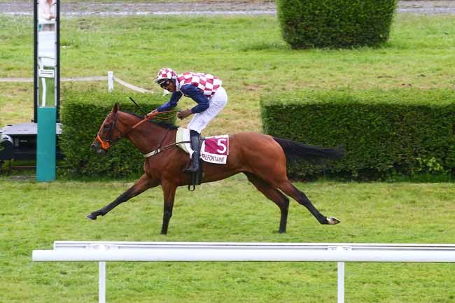 Photo d'arrivée de la course pmu PRIX PMU 