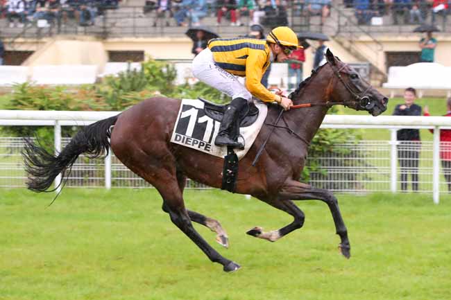 Photo d'arrivée de la course pmu PRIX TOYOTA TOYS MOTORS à DIEPPE le Lundi 31 juillet 2023