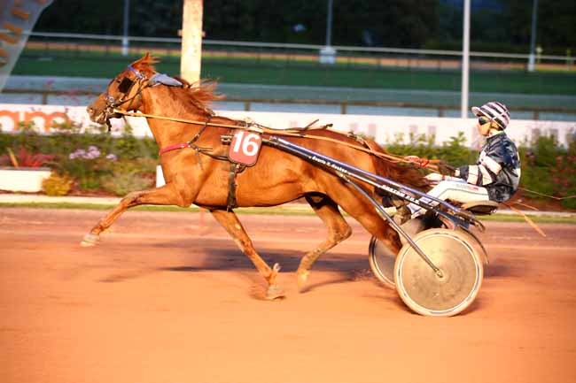 Photo d'arrivée de la course pmu PRIX DES LIS à CABOURG le Vendredi 4 août 2023
