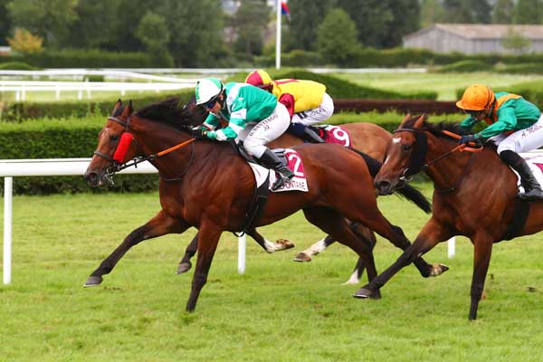 Photo d'arrivée de la course pmu PRIX DE LA VILLE DE PONT-L'EVEQUE (PRIX DES PATURAGES) à CLAIREFONTAINE le Vendredi 4 août 2023