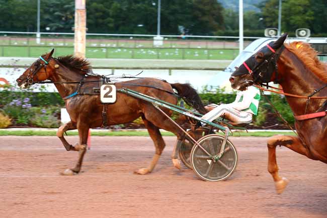 Photo d'arrivée de la course pmu PRIX DES COREOPSIS à CABOURG le Vendredi 11 août 2023
