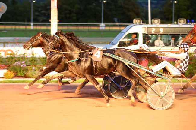 Photo d'arrivée de la course pmu PRIX DES NIVEOLES à CABOURG le Vendredi 11 août 2023