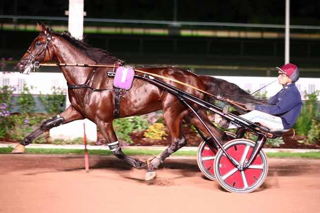 Photo d'arrivée de la course pmu PRIX DES SOUCIS à CABOURG le Vendredi 11 août 2023