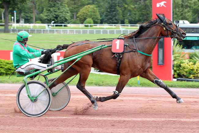 Photo d'arrivée de la course pmu PRIX DES TERNES à ENGHIEN le Dimanche 13 août 2023