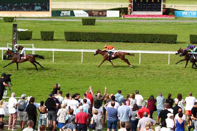 Photo d'arrivée de la course pmu PRIX ROUEN TATTOO FESTIVAL (PRIX DE L'HIPPODROME FLEURI) à CLAIREFONTAINE le Lundi 14 août 2023