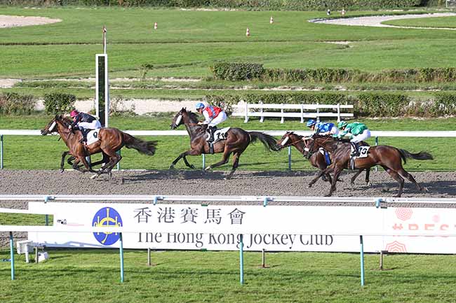Photo d'arrivée de la course pmu PRIX DU CANAL DE TANCARVILLE à DEAUVILLE le Mardi 15 août 2023