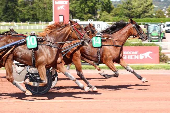 Photo d'arrivée de la course pmu PRIX D'ELANCOURT à ENGHIEN le Jeudi 17 août 2023