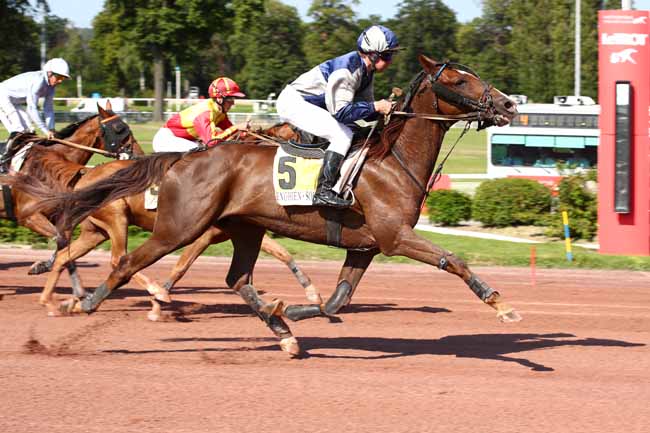 Photo d'arrivée de la course pmu PRIX DE LA PORTE D'ORLEANS à ENGHIEN le Jeudi 17 août 2023