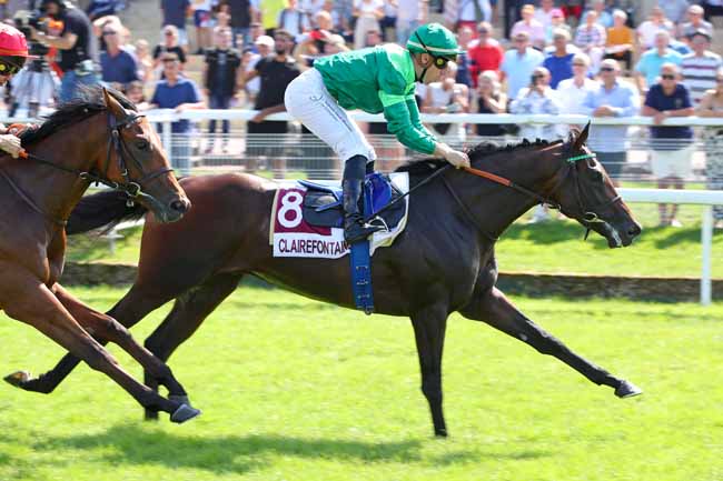 Photo d'arrivée de la course pmu PRIX GALA DU CHEVAL ET GRAND BAL DE LA CROIX ROUGE 25/08/23 (PRIX DE RONCHEVILLE) à CLAIREFONTAINE le Vendredi 18 août 2023