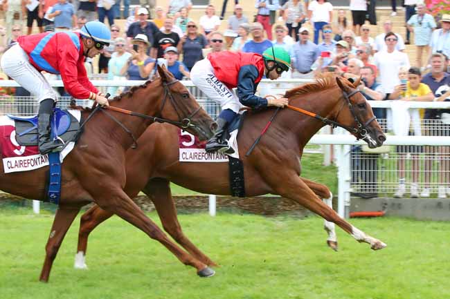 Photo d'arrivée de la course pmu ZERMATI CHANTE...AZNAVOUR A BOBINO LE 01/10/2023 (PRIX DE TOUQUES) à CLAIREFONTAINE le Vendredi 18 août 2023
