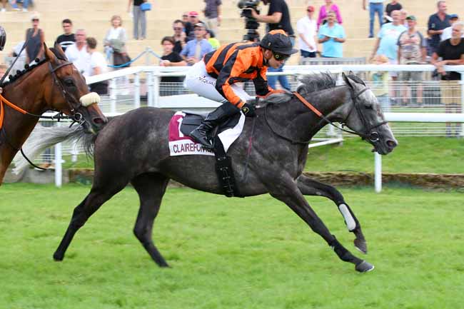 Photo d'arrivée de la course pmu PRIX ZERMATI CHANTE...FORMI FORMI FORMIDABLE (PRIX DU PRE-LE-HOUX) à CLAIREFONTAINE le Vendredi 18 août 2023