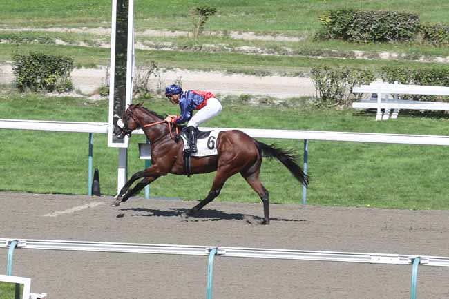 Photo d'arrivée de la course pmu PRIX DE JUMIEGES à DEAUVILLE le Samedi 19 août 2023