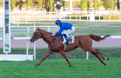 Photo d'arrivée de la course pmu PRIX DE LA GRANDE GRILLE à VICHY le Lundi 21 août 2023