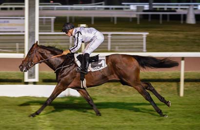 Photo d'arrivée de la course pmu PRIX JURIETTI à VICHY le Lundi 21 août 2023