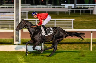 Photo d'arrivée de la course pmu PRIX DE ROYET à VICHY le Lundi 21 août 2023