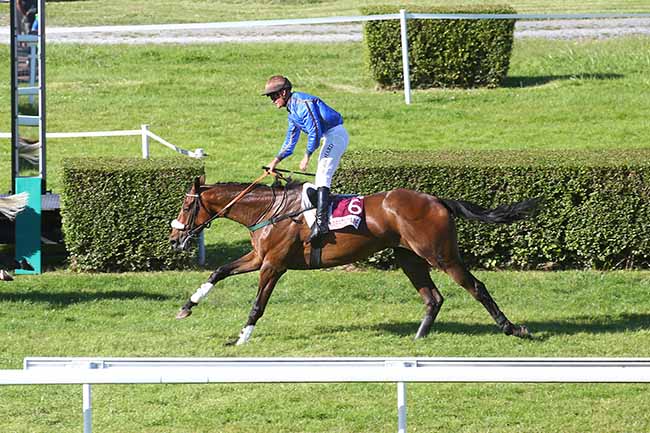 Photo d'arrivée de la course pmu PRIX DU 49E FESTIVAL DU CINEMA AMERICAIN (GRAND STEEPLE-CHASE DE LA VILLE DE DEAUVILLE) à CLAIREFONTAINE le Lundi 21 août 2023