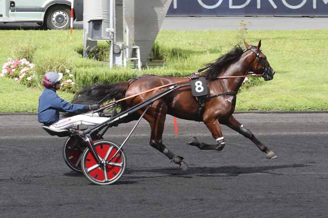 Photo d'arrivée de la course pmu PRIX DES BRUYERES à PARIS-VINCENNES le Lundi 28 août 2023